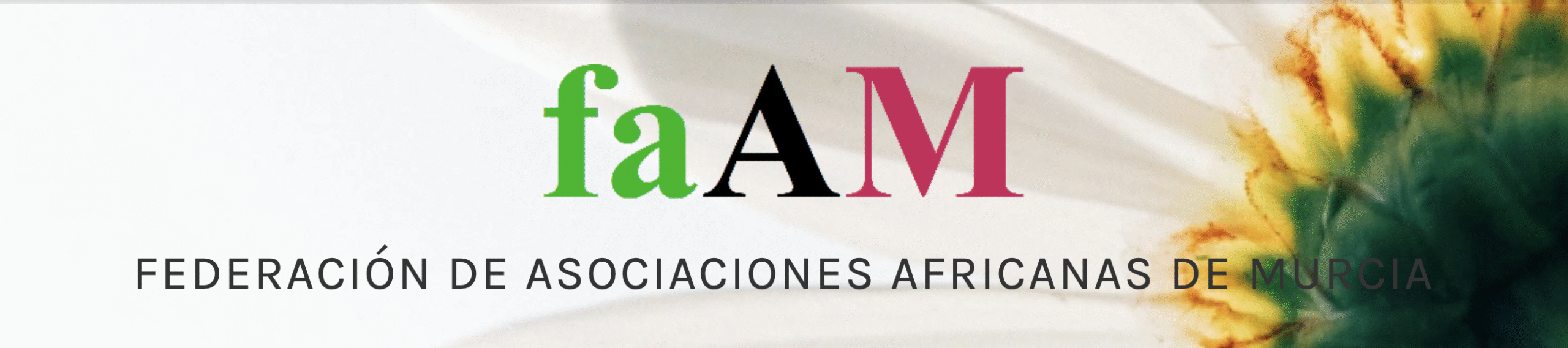 Federación de Asociaciones Africanas de Murcia